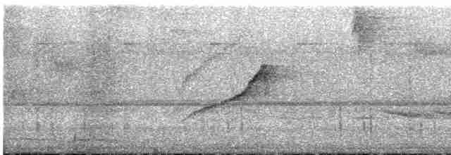 Wire-tailed Manakin - ML524361371