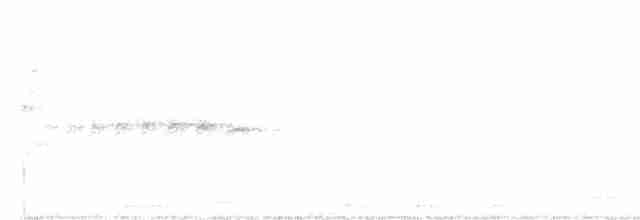 Güneyli Bıyıksız Tiranulet - ML524368511