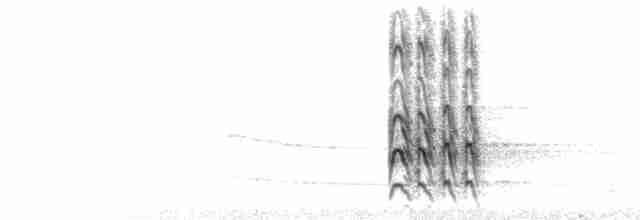  - Golden-cheeked Woodpecker