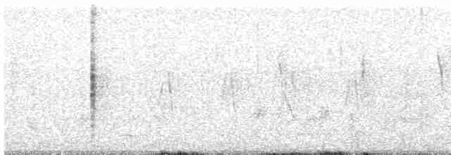 Eastern Orphean Warbler - ML524396531