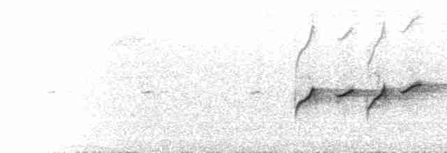 Gri Başlı Kanarya Sinekkapanı - ML524398541