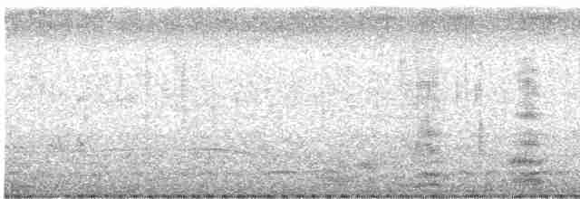 Koartza gorria - ML524406901
