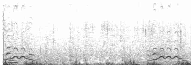 Гагара полярна - ML524436221