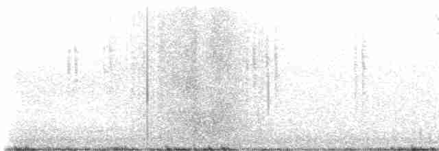 Troglodyte des forêts - ML524509301