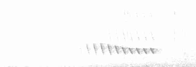 Flat-billed Vireo - ML524570211