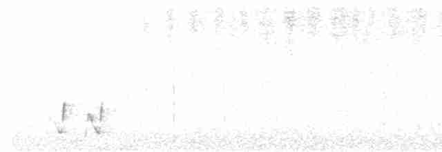 White-eared Honeyeater - ML524571241