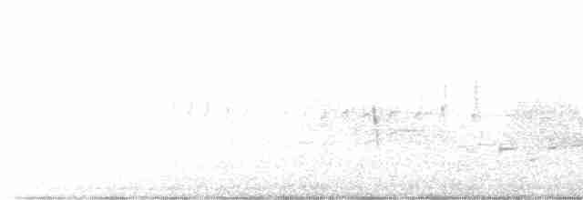 vlhovec červenokřídlý - ML524575261