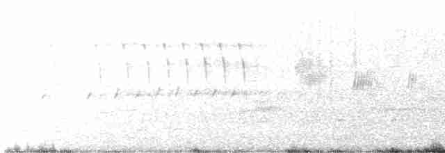 vlhovec červenokřídlý - ML524575271