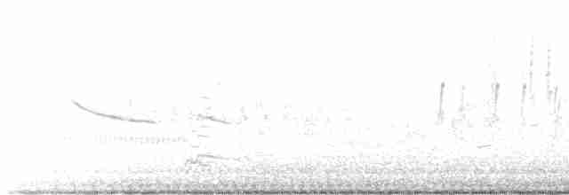 סנונית רפתות - ML524575811