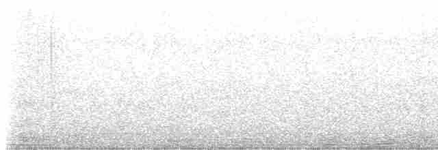Сова-голконіг острівна - ML524709771