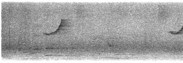 Mosquitero de Tytler - ML524728961