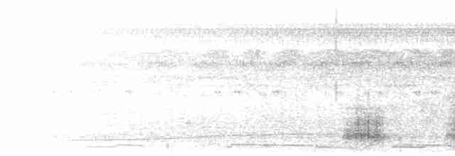  - Rufous-bellied Chachalaca