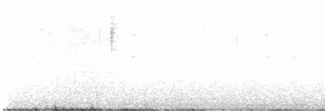 Каньонный крапивник - ML524816081
