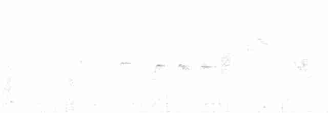 גיבתונית רוננת - ML524819961