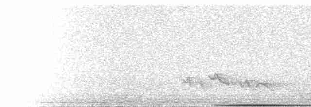  - Bare-faced Curassow (Bare-faced)