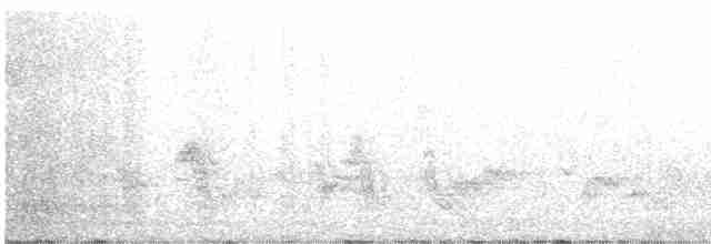 Layardgrasmücke - ML524875131