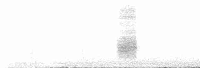 Geai à gorge blanche - ML524912271
