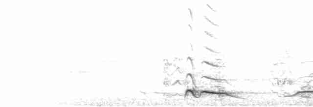  - White-tipped Quetzal