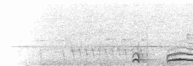  - Hispaniolan Trogon