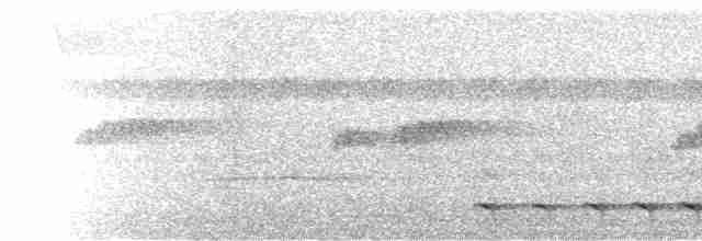  - White-tailed Trogon