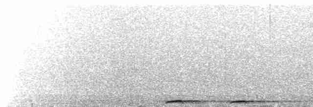  - Blue-capped Motmot