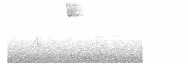Белогорлая зонотрихия - ML524983681