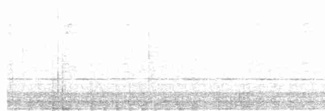 Дивоптах-шилодзьоб чорний - ML525035531