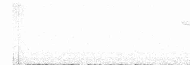 Белокрылая пиранга - ML525049871