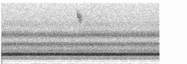 Sperlingsvogel, unbestimmt - ML525071341