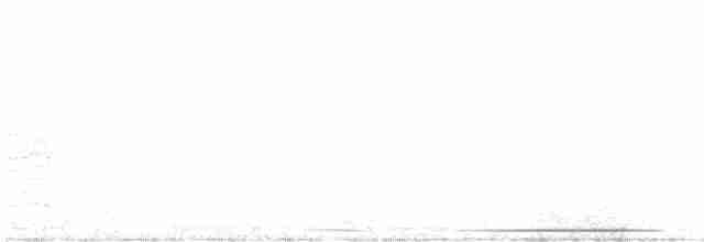 holub bledočelý - ML525120591