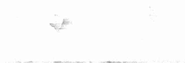 黃眉柳鶯 - ML525149181