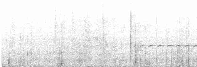 Rostrücken-Ameisenvogel - ML525236471