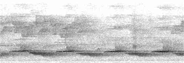Зеленоногая лесная куропатка - ML52525511
