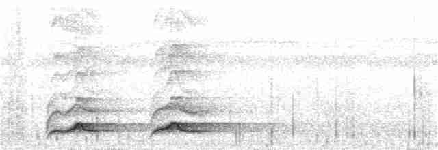 Mangrov Pittası - ML52525871