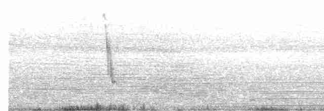 vrabec šedohlavý - ML525330841