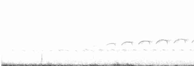 Hilalli Yerçavuşu - ML525357261