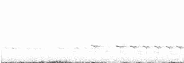 ekvatorialmaurpitta - ML525357971