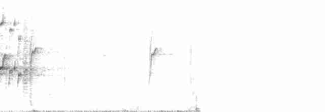 Grimpar porte-sabre - ML52539