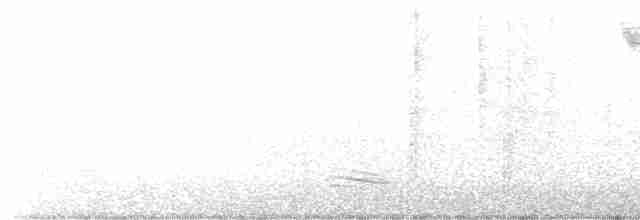 Japon Baştankarası (nigriloris) - ML525398871