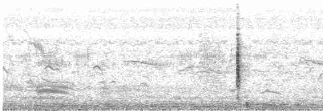 Blyth's Reed Warbler - ML525419991