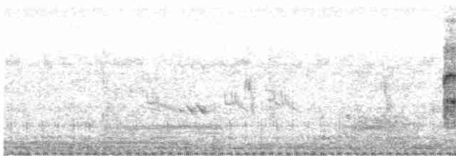Weißbart-Seeschwalbe - ML525420371