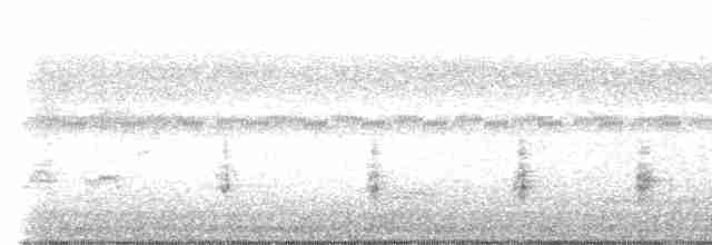 Australian Reed Warbler - ML525426641