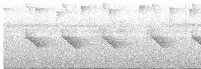White-throated Shrike-Tanager - ML525449331
