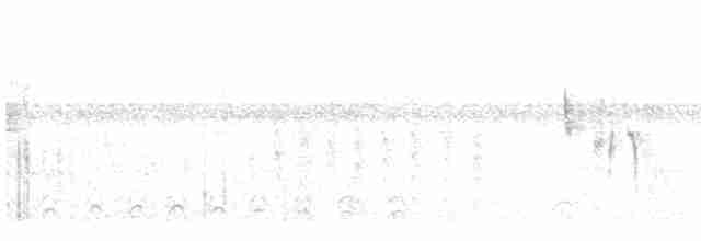 Серогрудый трескунчик - ML525451851