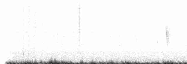 White-eared Puffbird - ML525461561