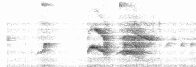 Nordamazonien-Ameisenschnäpper - ML525485791