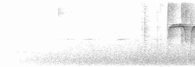 Pipromorphe à poitrine rousse - ML525490561