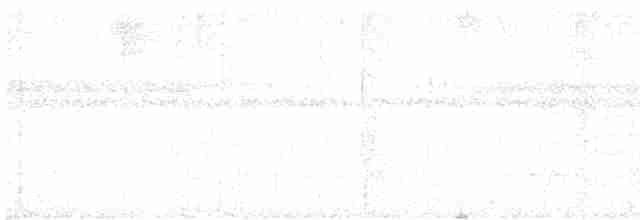 White-necked Thrush - ML525497371