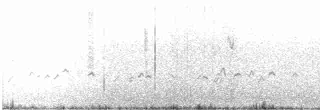Патагонский зерноед - ML52550161