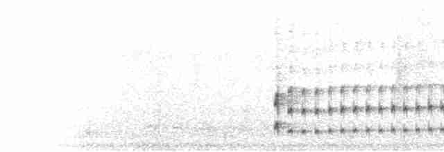  - Black-cheeked Gnateater